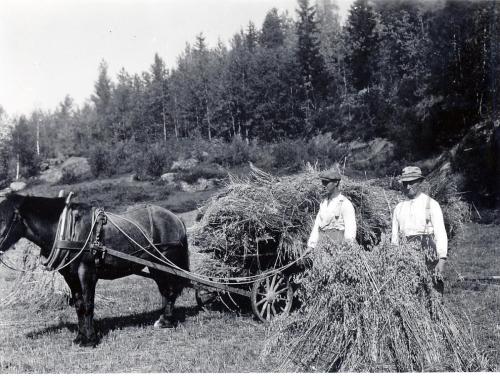 HavreskordFolkeoAxelTholsson