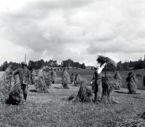 SkordearbetemAxeloFolkeTholssonG-rud